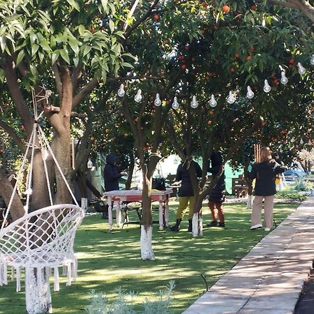 בוסקוריאלה Pompei Villa Regina מראה חיצוני תמונה