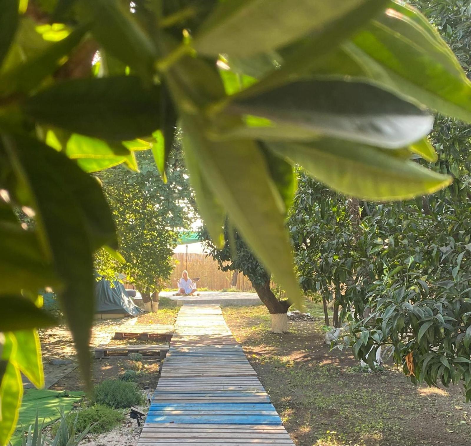 בוסקוריאלה Pompei Villa Regina מראה חיצוני תמונה
